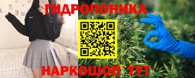 индика Можайск