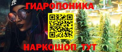 индика Можайск