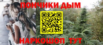 индика Можайск