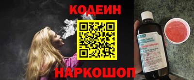 индика Можайск