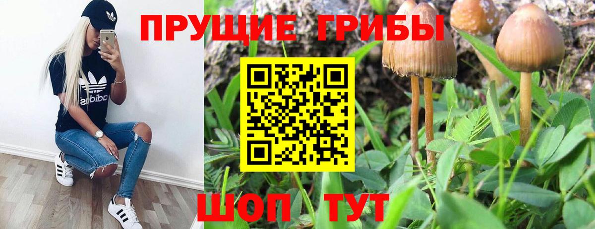 Фролово  Псилоцибиновые грибы GOLDEN TEACHER  Галлюциногенные грибы MAGIC MUSHROOMS  Вход с VPN 
